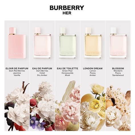 burberry ger|where to buy burberry her.